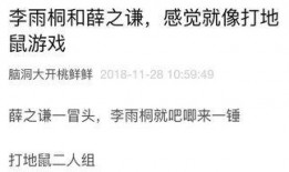 小语的吃瓜日记免费阅读,揭秘娱乐圈幕后故事